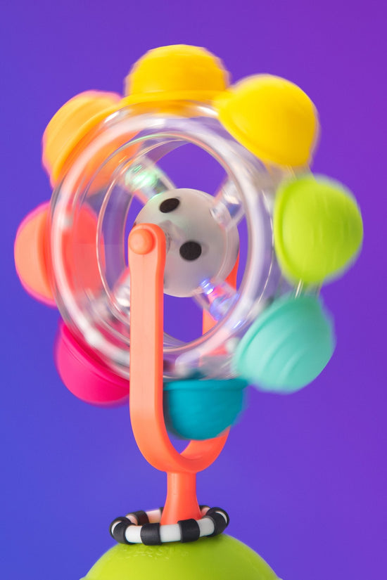 Motor Skills Development